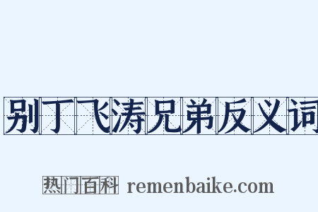 别丁飞涛兄弟反义词是什么意思的图片